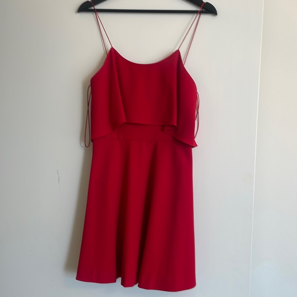 Cute Alice and Olivia dress